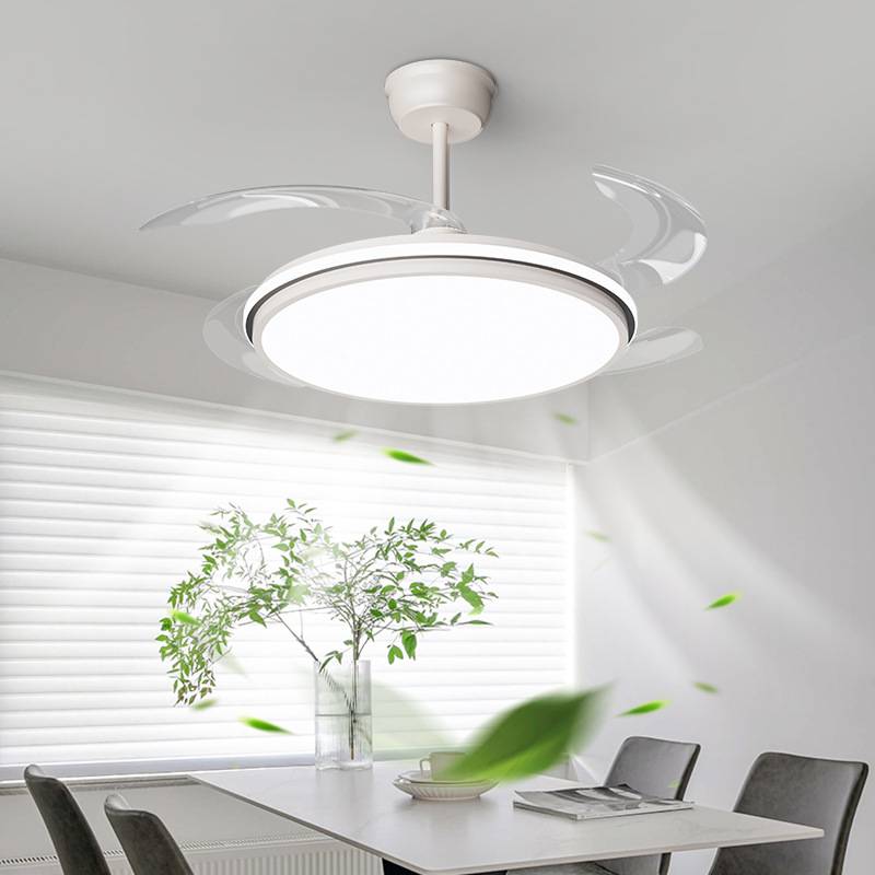 全光谱护眼风扇吸顶灯卧室创意极简隐形静音餐厅吊扇灯工厂直销