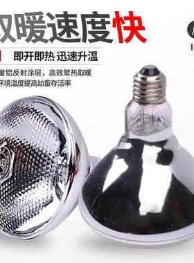 养场取暖灯保KWZ保温灯仔猪红外线暖加热鸡箱舍育殖雏保温灯泡