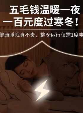 泰美暖电热毯双人智能床水循环300W主机恒温不干D901燥厂家垫水和