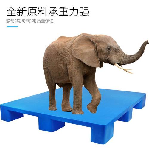 塑料叉车托盘仓库垫仓板防潮垫板栈板塑料卡板货架地牛托盘铲板