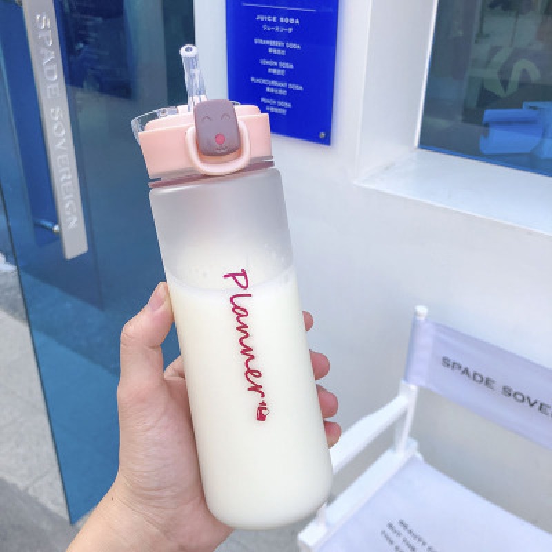 磨砂简约吸管杯大人产妇少女孕妇成年带吸管水杯V女生可携式杯