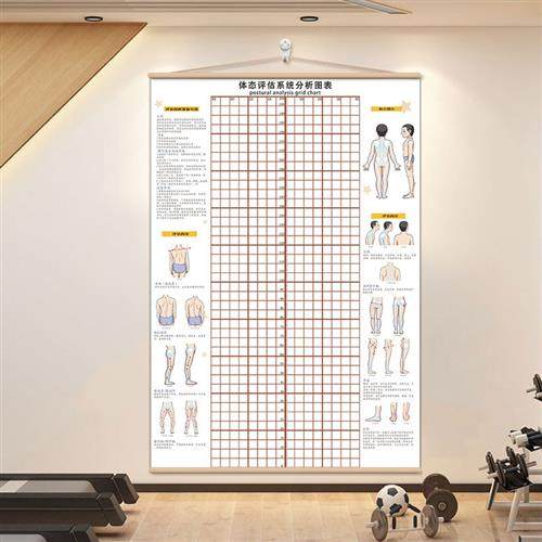 新体态调整评估i表健身房体测墙贴网格纸私教姿势体位背景墙体姿