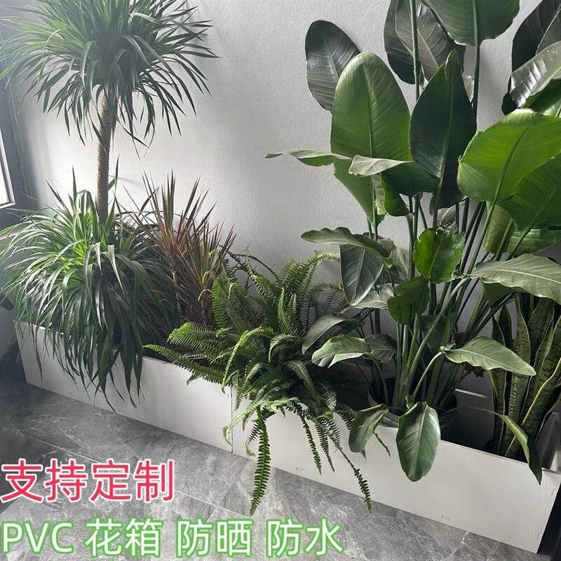 PVC花箱户外市政种花菜透气塑料定制白色阳台长方形大号花盆包邮
