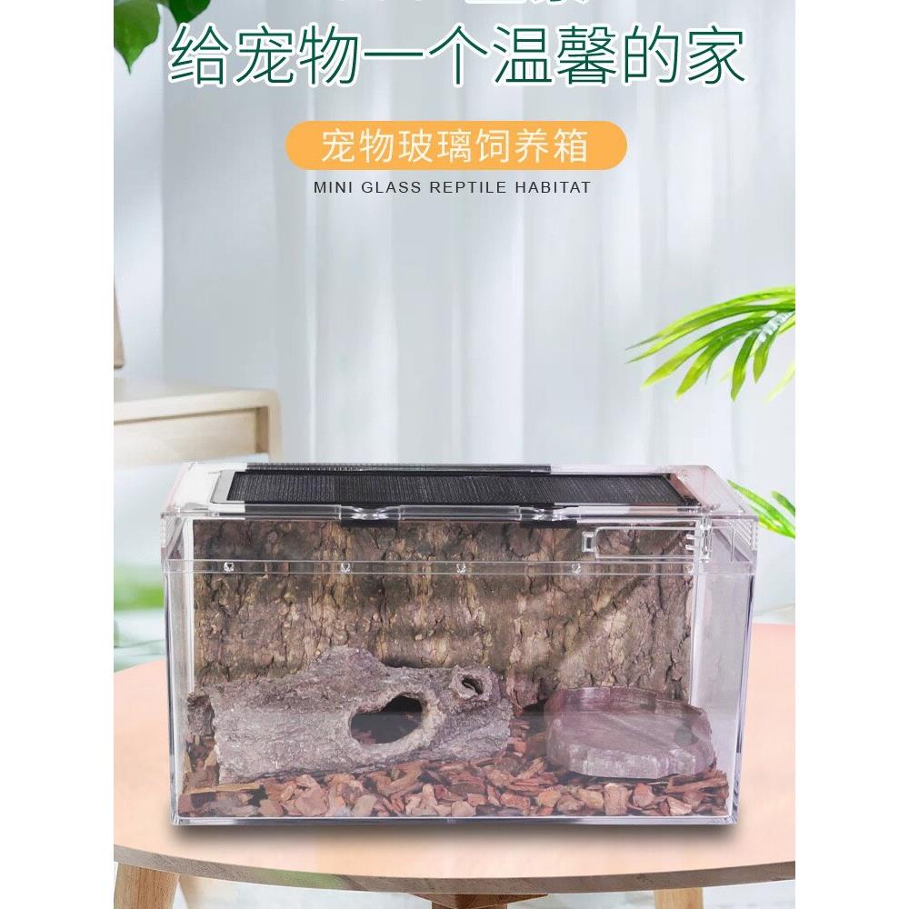 爬宠亚克力缸饲养盒箱大号活物鬃狮蜥蜴睫角守宫角蛙树蛙蛇乌龟盒