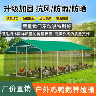 大型养殖鸡棚户外防雨棚鸡窝家禽鸡笼子鸭棚鸽舍家用组装鸡舍搭建