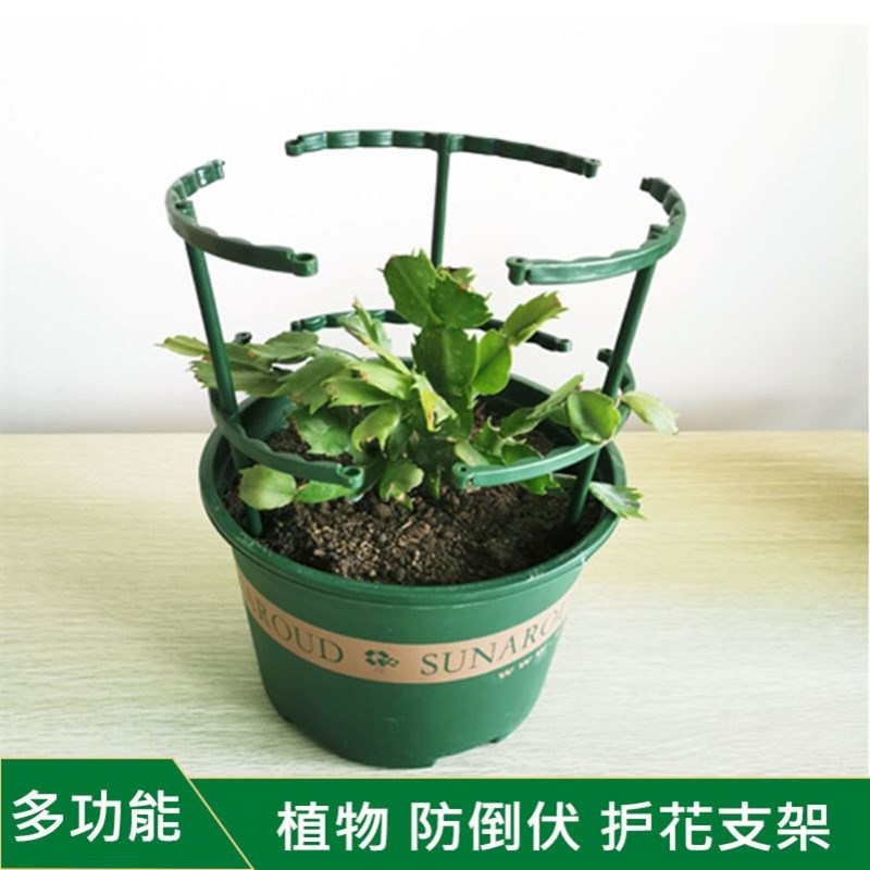 蟹爪兰专用支架花架支撑杆花盆固定托圈圆形兰P花卉爬藤绿萝绑防图片