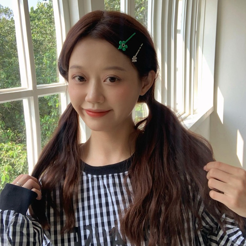 2个装 彩色花朵一字夹刘海w夹少女心发卡侧边夹子日韩森系发饰秋