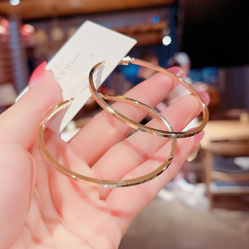 夸张圈圈耳环2021年新款潮气y质网红圆环耳圈小众设计感大圈耳饰