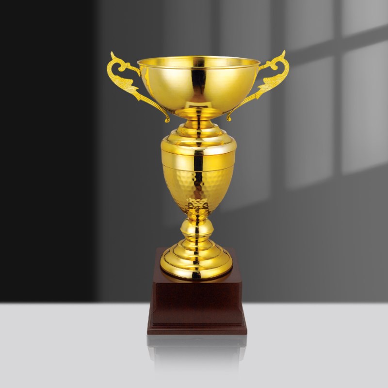 龙舟邀请赛金属大号奖杯定制订做端午节划龙舟比赛颁奖奖杯礼品