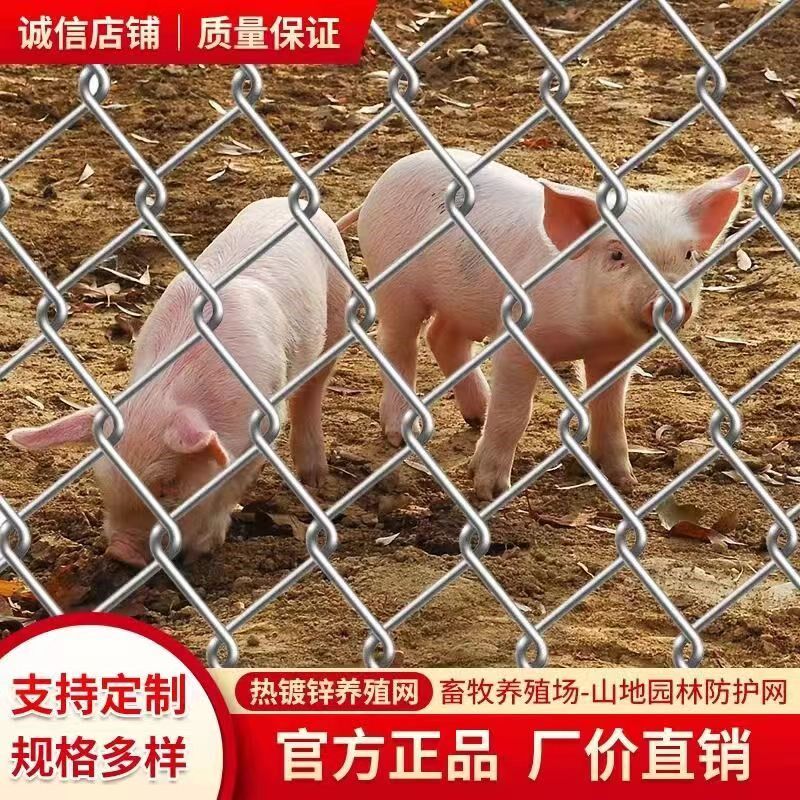 镀锌铁丝网围栏防护网勾花网钢丝网养殖牛羊猪拦网果园栅栏护栏网