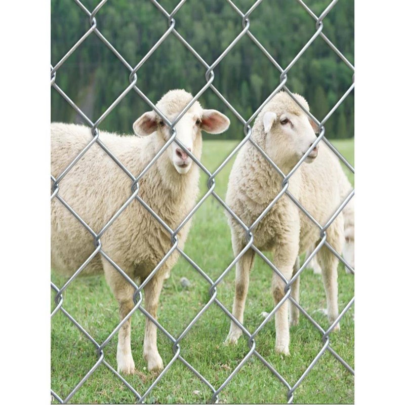 热镀锌铁丝网围栏养殖网圈地围果园牛羊猪狗笼钢丝网加粗防锈防护