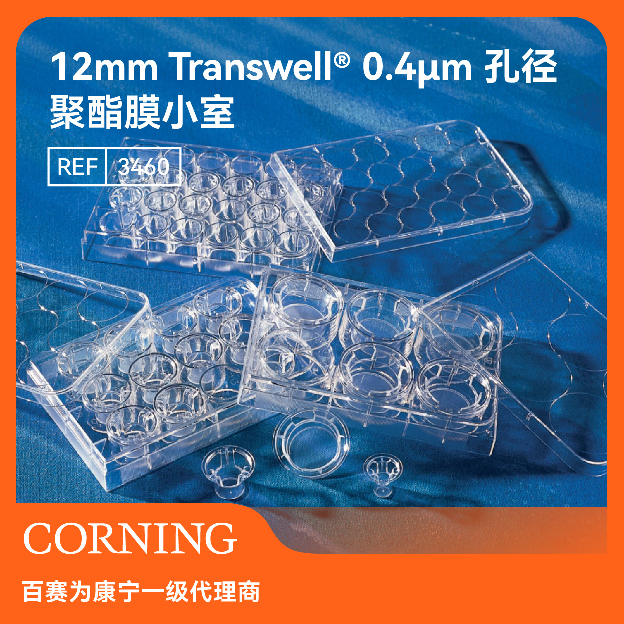 细胞小室0.4μm聚酯膜12孔板