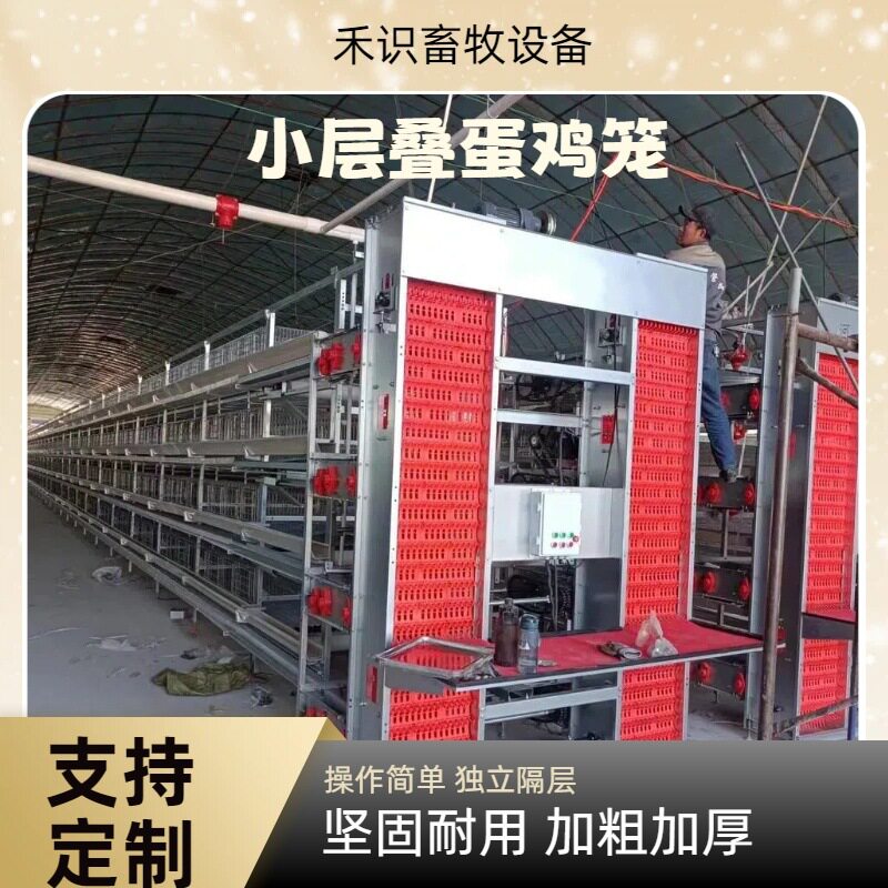 小层叠全自动化蛋鸡笼养殖场专用设备自动喂料捡蛋清粪源头厂家