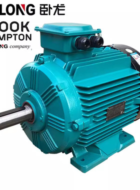 卧龙电气IE2/IE3/WE3/WE4/WE5/YE4系列三相异步电机厂家电动机