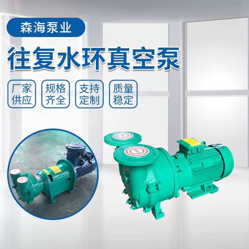水环式真空泵 2BV水环式不锈钢真空泵S304水环式引水泵