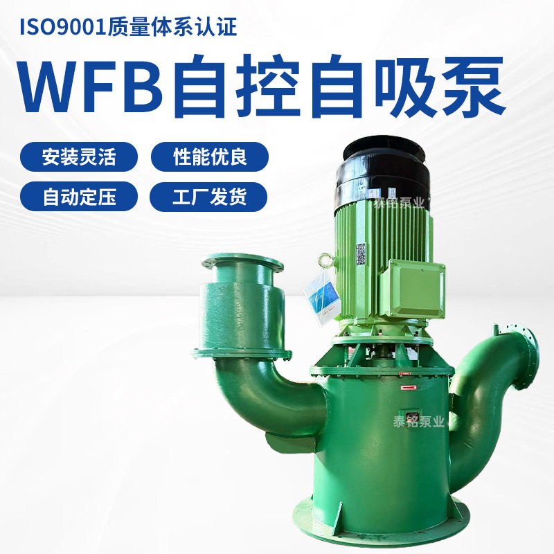 WFB无密封自控自吸泵大吸程污水排放泵耐腐蚀工业立式自吸泵