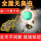 臭屁虫杀虫剂专杀臭大姐专用药驱赶除蝽虫克星杀椿象灭放屁虫神器