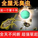 臭屁虫杀虫剂专杀臭大姐专用药驱赶除蝽虫克星杀椿象灭放屁虫神器