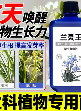 兰菌王兰花专用营养液促花兰科花肥兰陵营养液君子蝴蝶生根爆芽