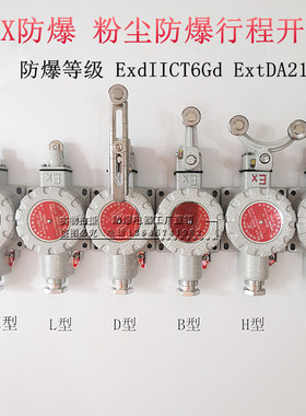 防爆行程开关DLXK防爆限位开关LX5--Z型L型B型D型H型N型防爆开关