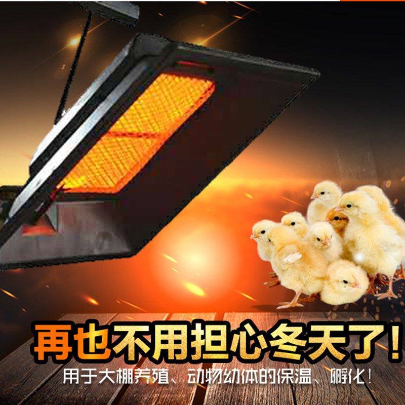 养殖场小鸡育雏器保温器育雏伞保温伞保温箱全自动养殖加温保暖灯