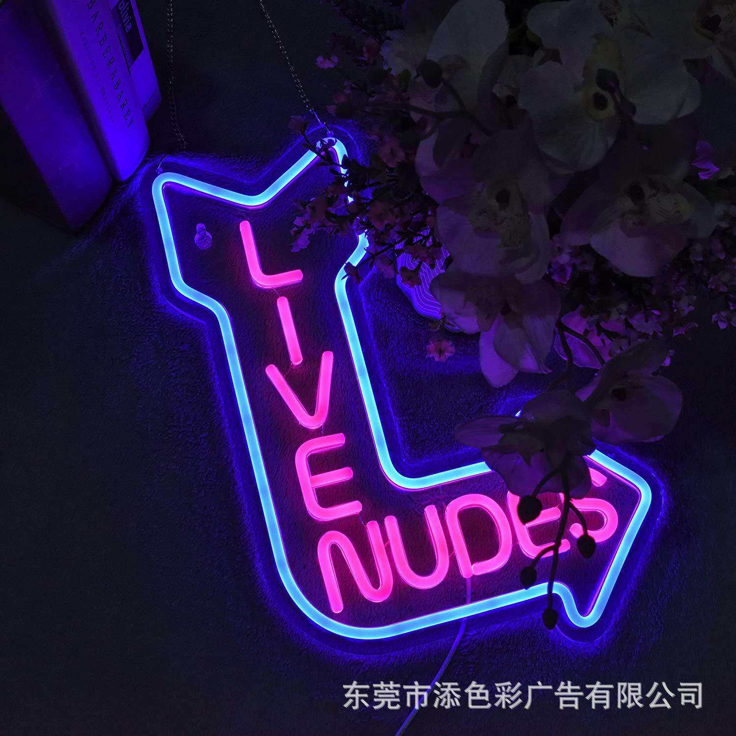 LIVENWDES霓虹灯LED发光造型装饰酒吧英文箭头指向标牌外贸可调光
