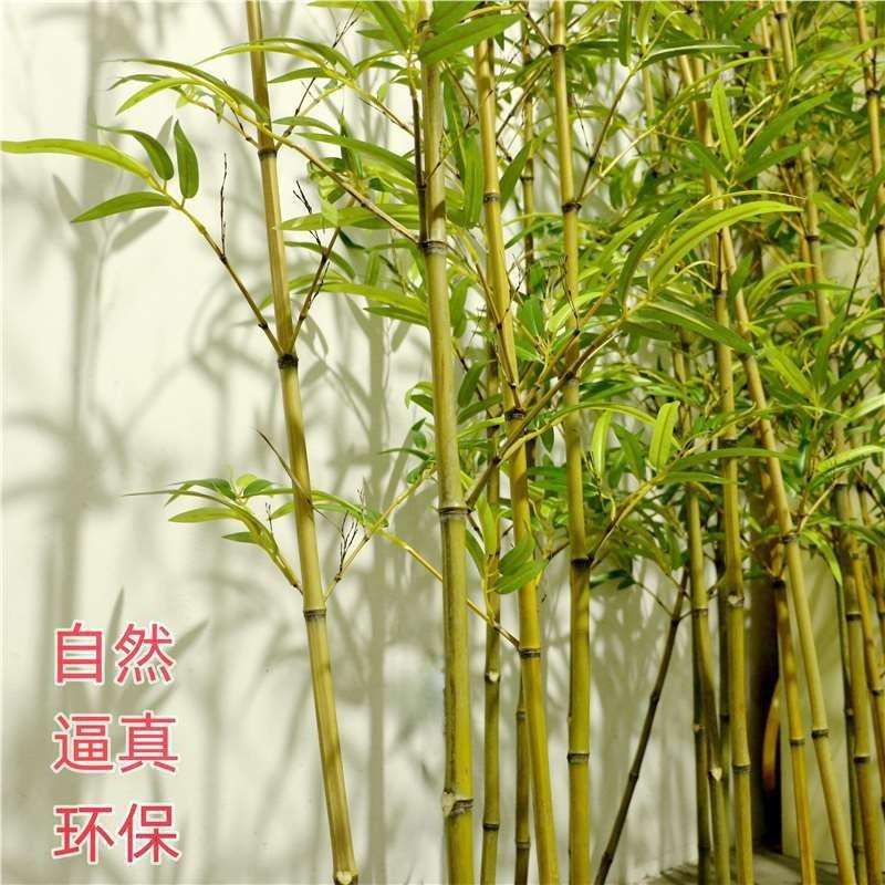 仿真竹子造景仿生假竹子仿真植物室内外装饰隔断遮挡墙盆栽假绿植
