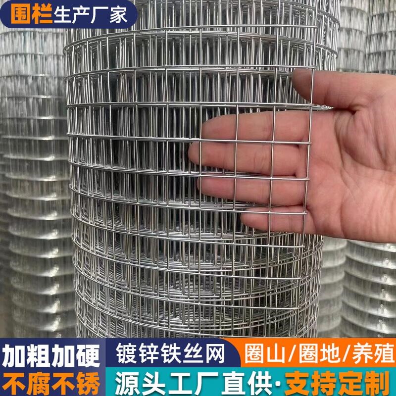 防锈镀锌铁丝网钢丝网养殖网鱼塘圈地网拦鸡网围栏网小孔防蛇鼠网