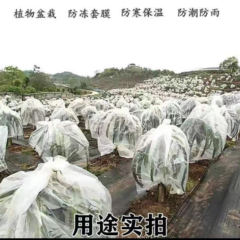 整卷塑料膜大棚膜包装膜工程防护膜防尘遮盖膜高透光透明膜塑料布