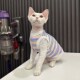 纯棉高弹b条纹背心任发财无毛猫衣服德文衣服斯芬克斯猫可爱