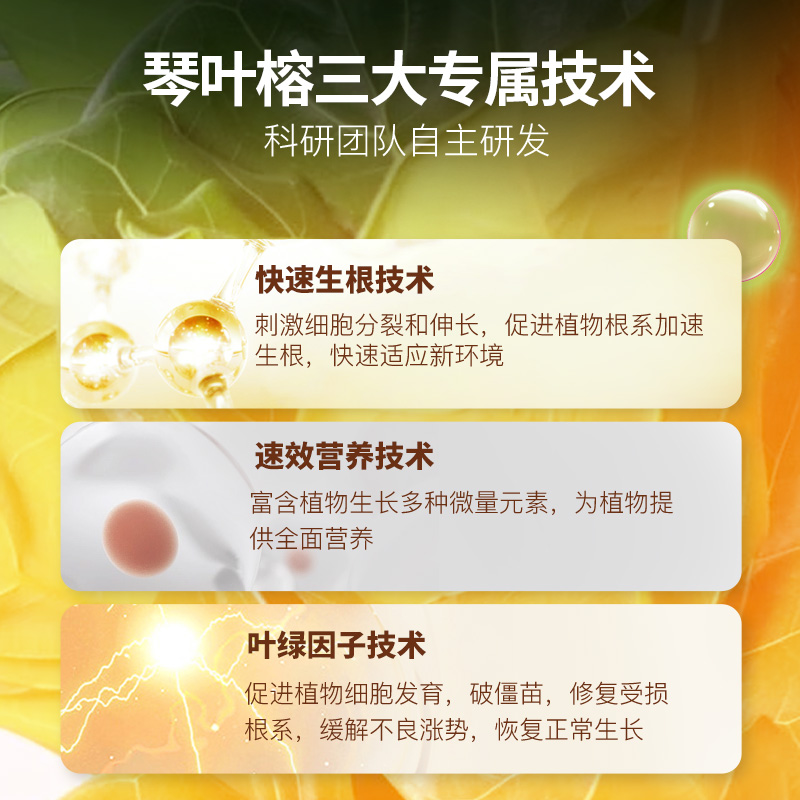 琴叶榕营养液大琴叶榕肥料B肥发黄叶锈斑观叶植物肥液体