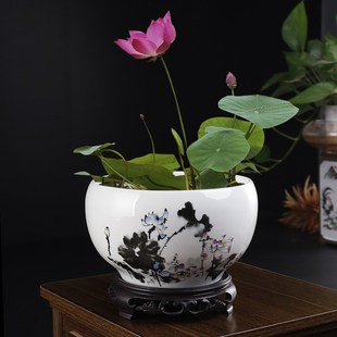 家用水仙花盆陶瓷无孔碗莲金钱草水养植物容器水培铜钱草花盆