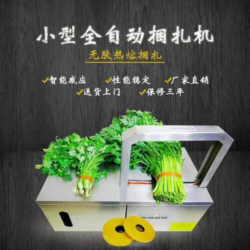 蔬菜水果捆菜机 全自动束带机 蔬菜无胶捆扎机