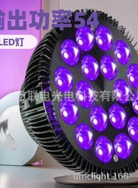 亚马逊黑色Par38UV紫光395-400nm蝎子灯植物灯杀菌灯理疗灯美黑灯