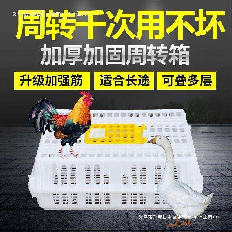 鸡用周转箱运输鸡笼加强型特大成鸡鸭鹅鸽兔运输笼筐成鸡笼塑料.,鲜花速递/花卉仿真/绿植园艺,割草机/草坪机,淘宝优惠券,粉丝福利购,淘宝优惠卷