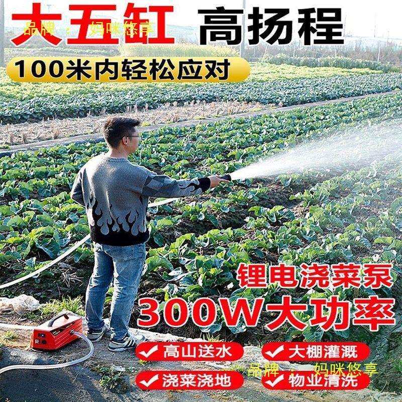 浇菜神器充电式锂电手提抽水泵农用灌溉浇水机家用淋菜机自吸水泵