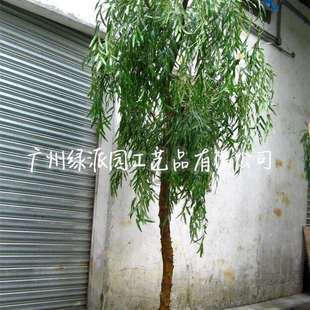 仿真塑料柳枝绿色树叶田园绢花柳叶假叶子柳树枝垂柳杨柳枝条柳条