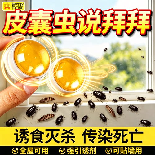 黑皮蠹杀虫剂幼虫卵双杀虫饵剂厨房厕所小黑虫诱捕粉蠹虫皮囊神器