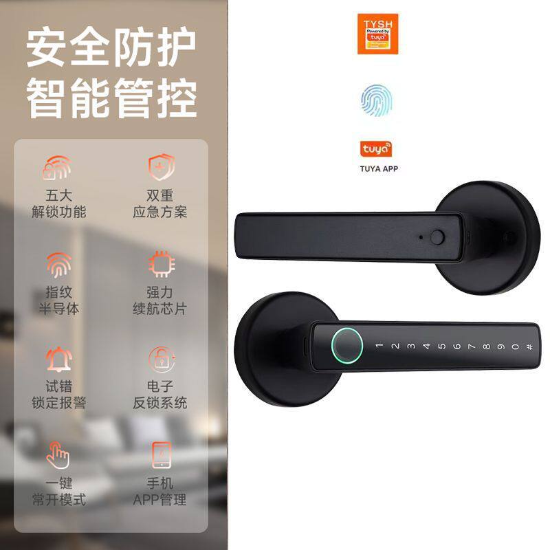 跨境爆款电子呆锁涂鸦智能门锁替代球形锁室内门把手指纹锁密码锁