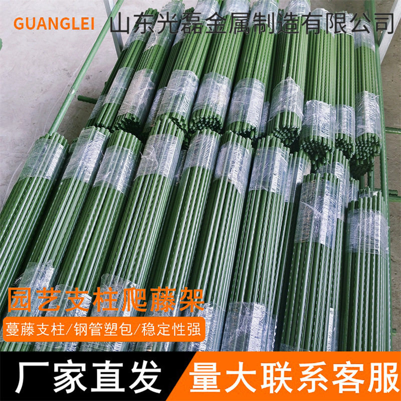 爬藤架包塑钢管豆角黄瓜架子阳台植物支撑杆葡萄丝瓜架50支包邮