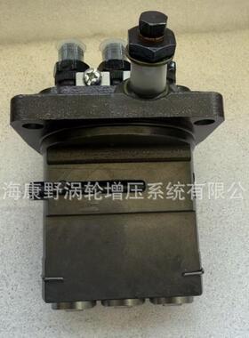 喷油泵129979-53000和721520-51700和1G514-510161G514-51010