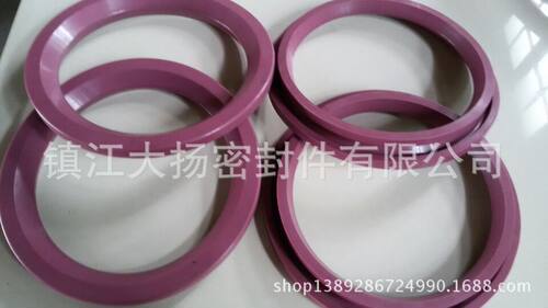 圆顶阀密封圈 克莱德圆顶阀密封圈  插入式 DVS DN150(耐特高温）
