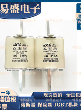 西熔库柏西安熔断器 NT2 RT16-2 315A/400A 500V 120ka 保险管