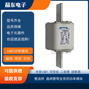 170M6811D全新保险丝熔断器 170M6810D 170M6808D 170M6809D