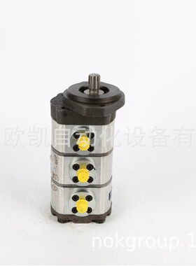 JIHOSTROJ三联泵T3-4/4.5/4.5R-S02D06-SNZ/T01Z/NZ-N.121