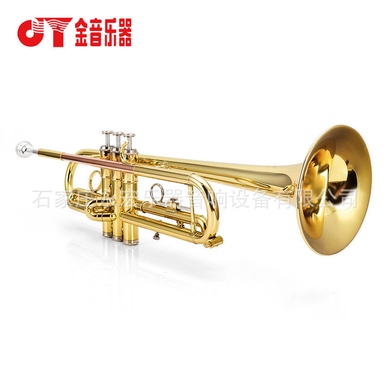 金音小号乐器降B调JYTR-2000G漆金小号金音2000型乐队小号