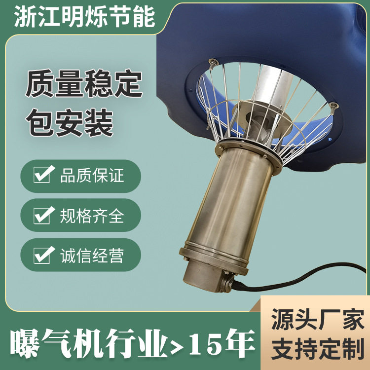 定制喷泉曝气机220V/380V电压池塘河道增氧Z