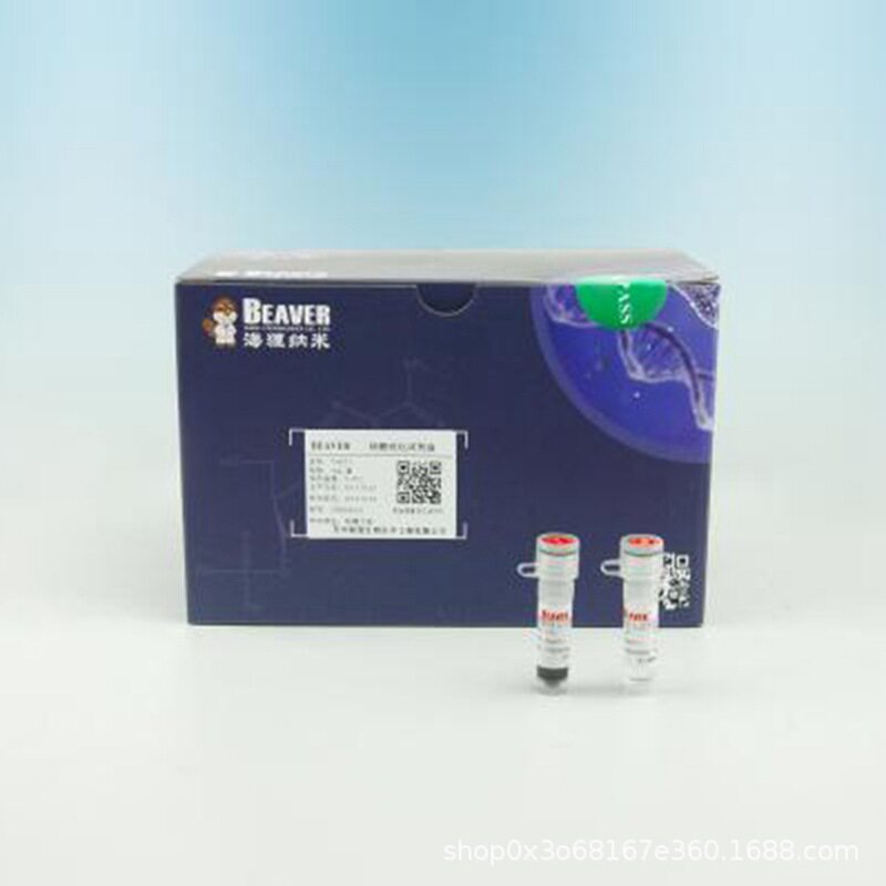 70106-50 海狸Beaver蛋白纯化磁珠 50mL羧基磁珠(300μm)生命科学