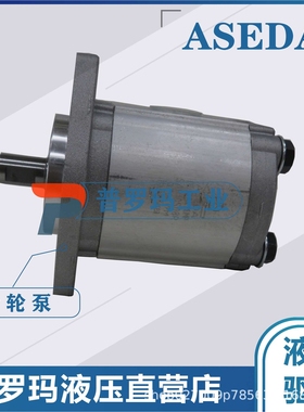 ASEDA齿轮泵SP197-32  SP197-40 SP197-50 SP197-55 SP197-63油泵