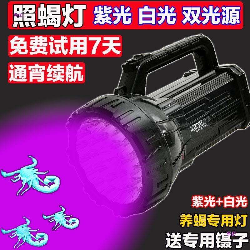 新款照蝎子灯强光超亮紫光手电筒蝎子灯户外头戴蝎子灯可奥平